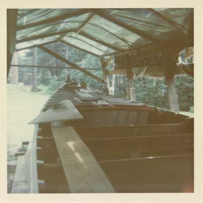 Digital Photograph