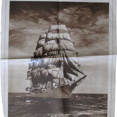 Newspaper