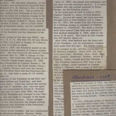 Newspaper