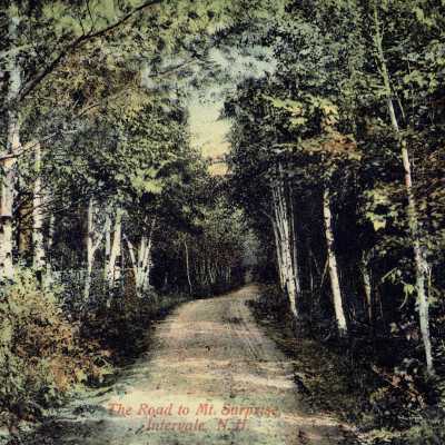 Postcard