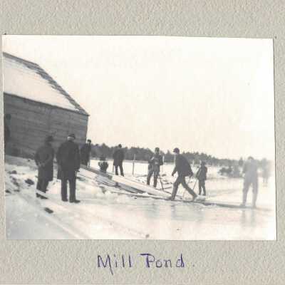Print, Photographic