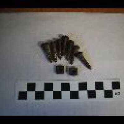 Screws/bolts from Dexter Carriage