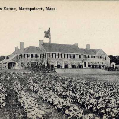 Postcard