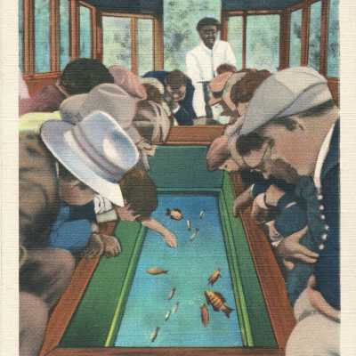Postcard