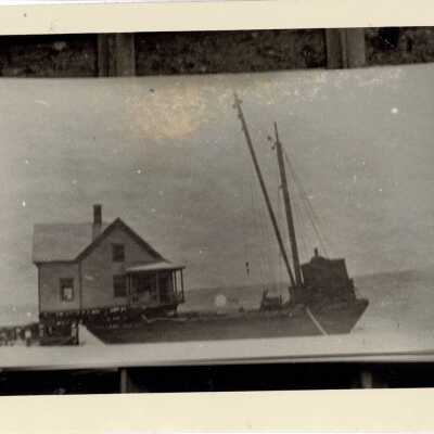 Print, Photographic
