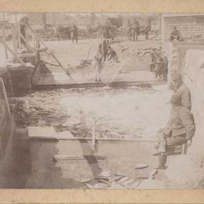 Print, Photographic