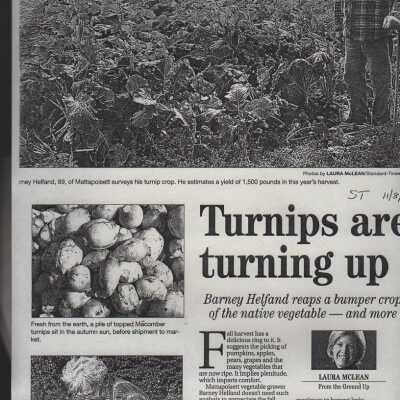 Newspaper
