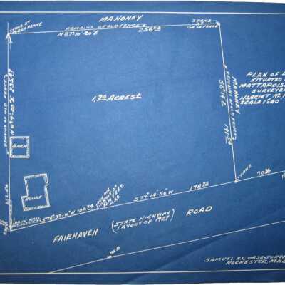 Survey for Harriet Hammond
