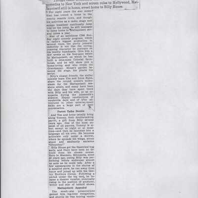 Newspaper