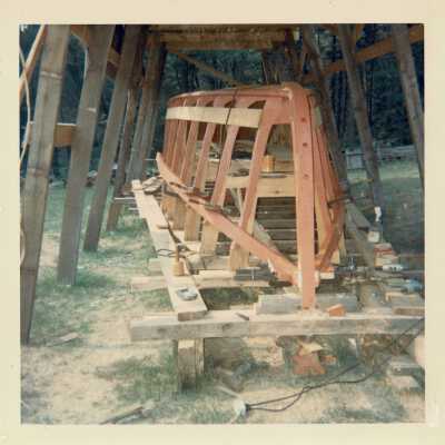 Digital Photograph