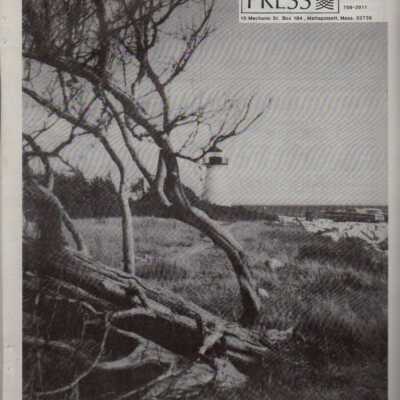 Newspaper