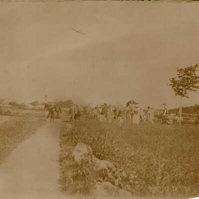 Print, Photographic