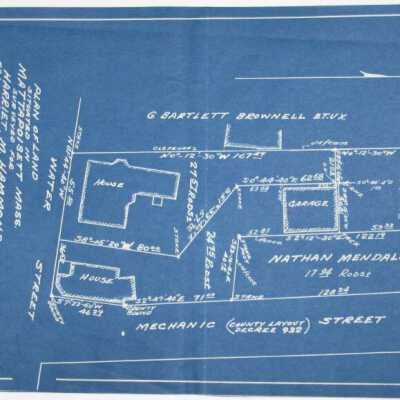 Harriet Hammond survey