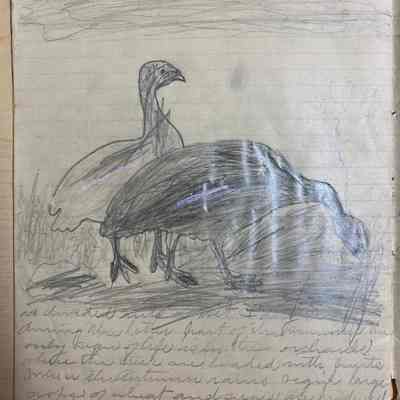 Illustration with notes about California