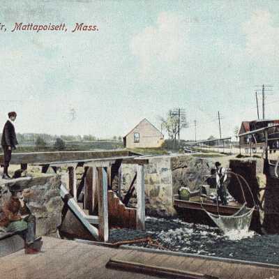 Postcard