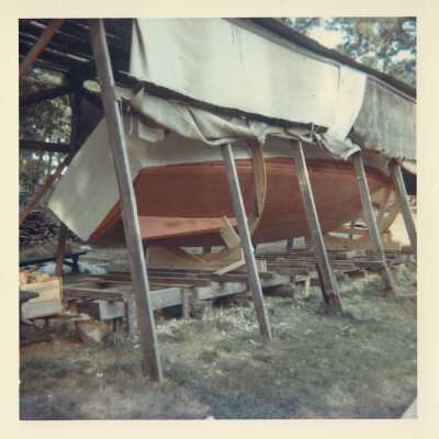 Digital Photograph