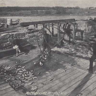 Postcard