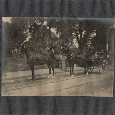 Print, Photographic