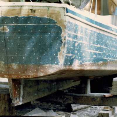 Digital Photograph