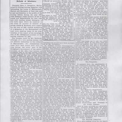 Newspaper