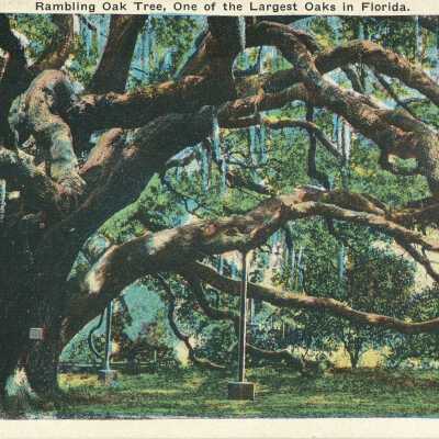 Postcard