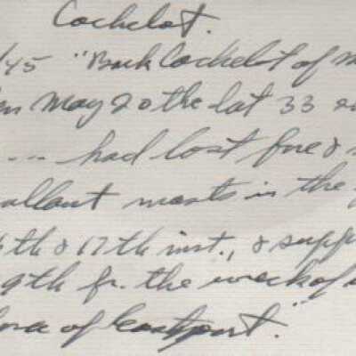 Bark "Cachalot"