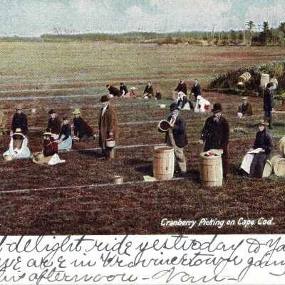 Postcard