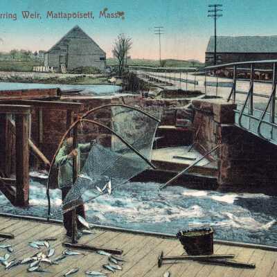 Postcard