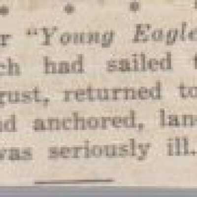 Newspaper