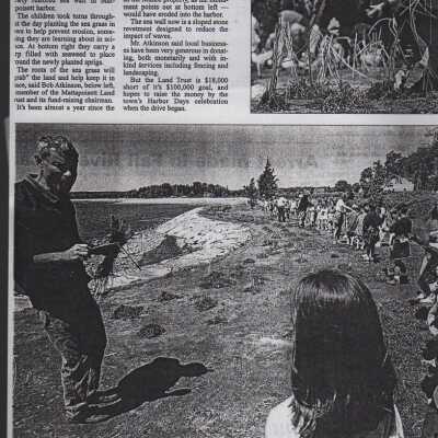 Newspaper