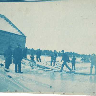Print, Photographic