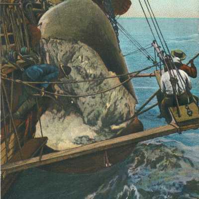 Postcard