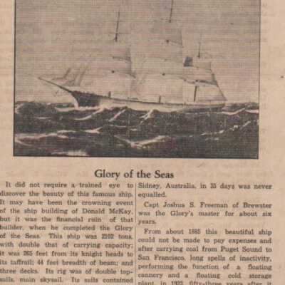 Newspaper