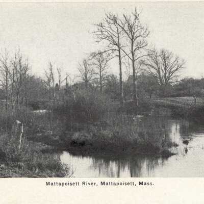 Postcard