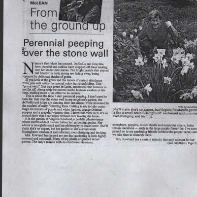 Newspaper