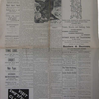 Newspaper
