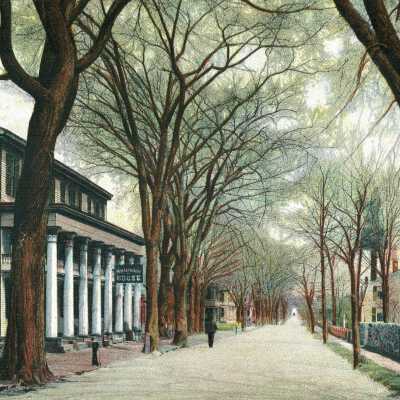 Postcard
