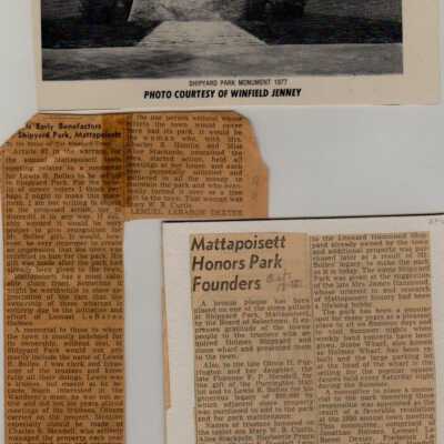 Newspaper