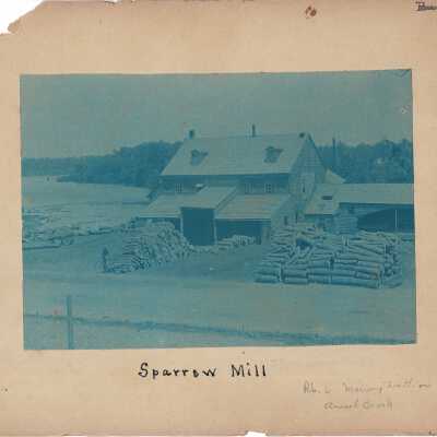 Print, Photographic