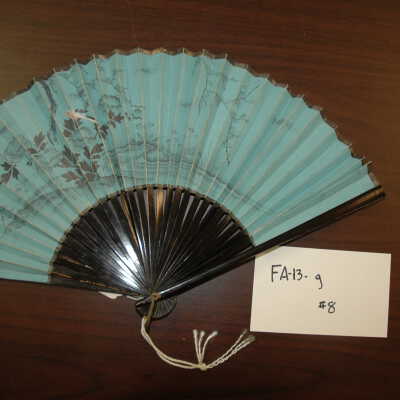 Fan