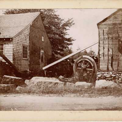 Print, Photographic