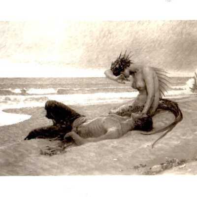 Print, Photographic