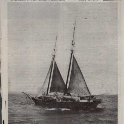 Newspaper