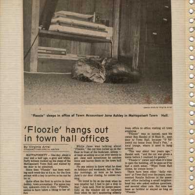 Newspaper