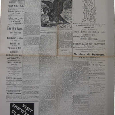 Newspaper