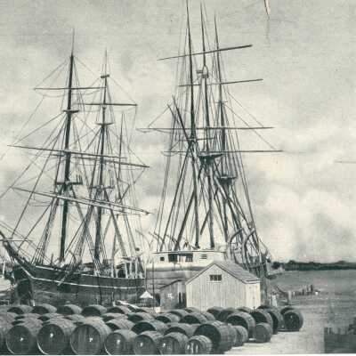 Postcard