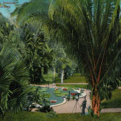 Postcard