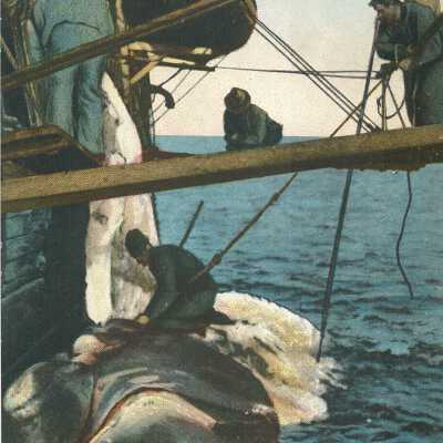 Postcard