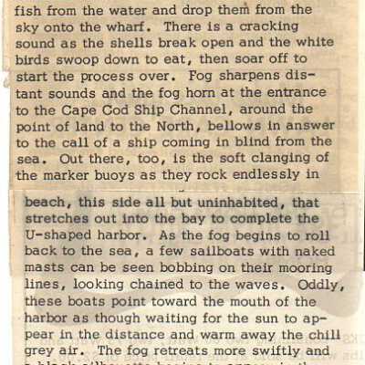 Newspaper