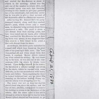 Newspaper